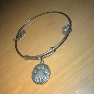 Alex and Ani Bracelet